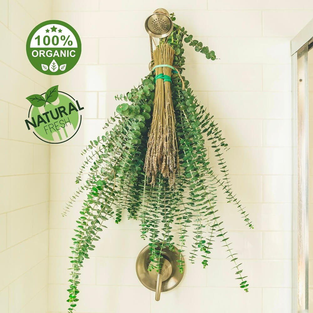 Fresh Eucalyptus Shower Bundle