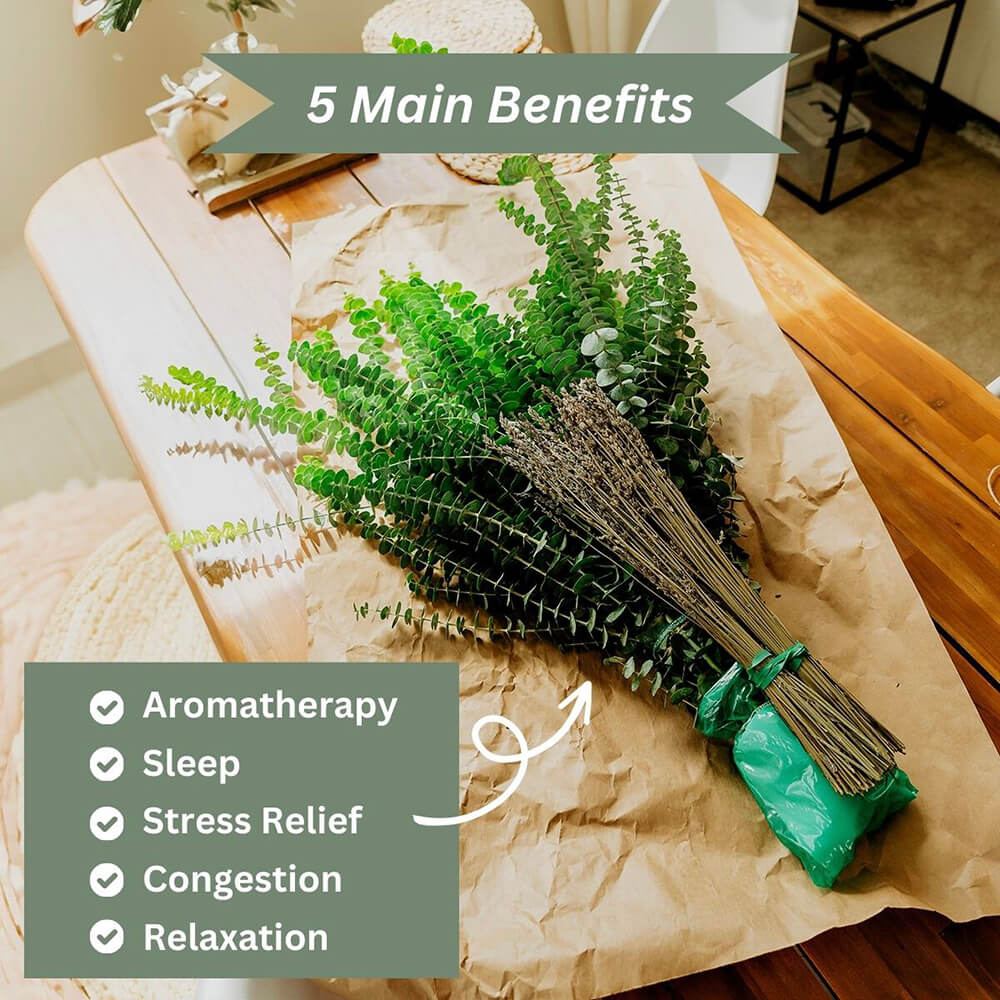 Fresh Eucalyptus Shower Bundle